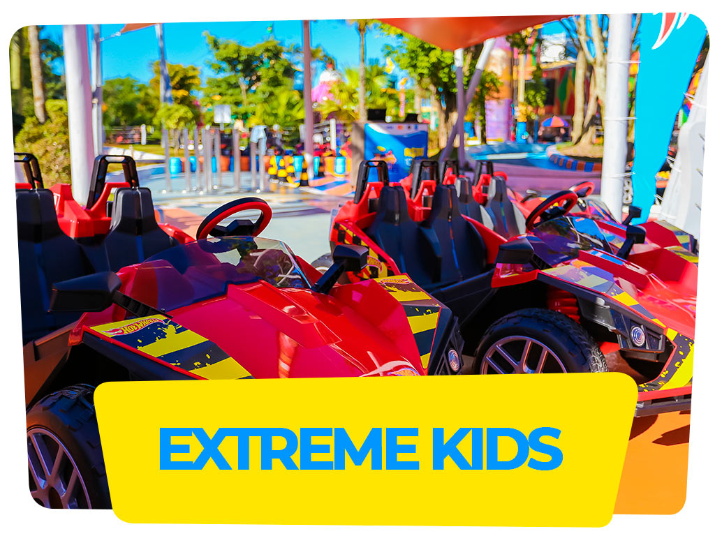 Hot Wheels Extreme Kids Jipes Elétricos