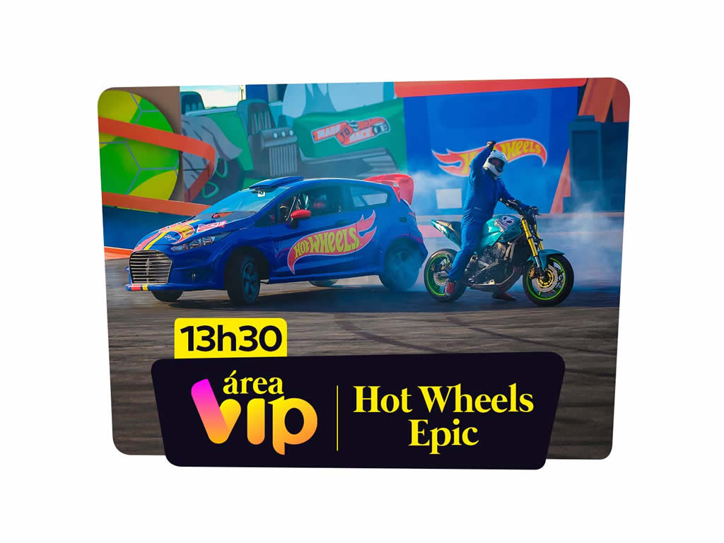 Área VIP – Hot Wheels